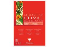 Etival bloc collé 1 côté 10F A5 300g grain classic