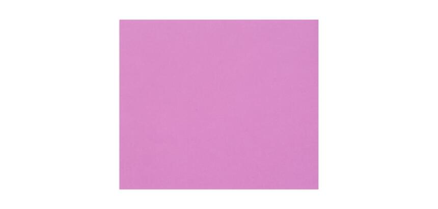 Tulipe Tekenpapier etui van 50 blad 160g A3 (29,7x42cm).