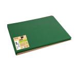 Manteles individuales de colores 30x40 cm