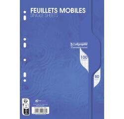 Feuillets mobiles sous film 7000 A4 100 pages perforées grands carreaux 80 g