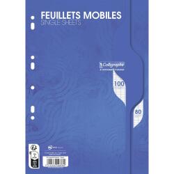 Feuillets mobiles sous film 7000 A4 100 pages perforées grands carreaux 80 g