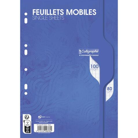 Feuillets mobiles sous film 7000 A4 100 pages perforées grands carreaux 80 g