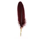 PLUME D'OIE+PLUME METAL SUR BROCH
