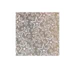 CARTON HOLOGRAPHIQUE, Sachet de 5 feuilles 230g/m2 au format 25x35cm - Assortiment