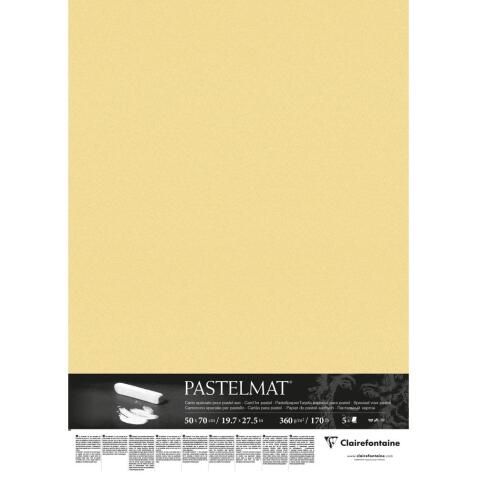 Pastelmat paquet 5F 50x70cm 360g
