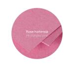 Etui de 50 feuilles Pollen 210x297mm 160g/m2