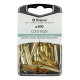 Boîte 100 plumes Cito fein