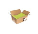 Carton de 200 enveloppes Pollen 229x324mm 120g/m² - Vert bourgeon
