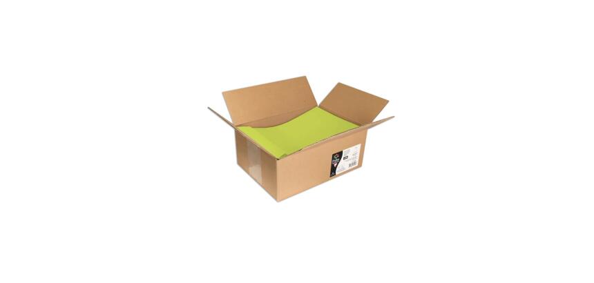 Carton de 200 enveloppes Pollen 229x324mm 120g/m² - Vert bourgeon