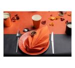 20 Assiettes en carton rondes, 23 cm