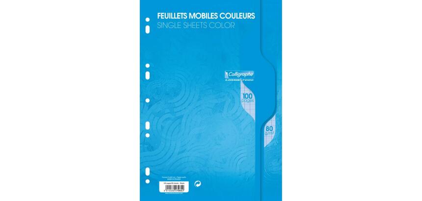 Feuillets mobiles sous film 7000 A4 100 pages perforées grands carreaux 80 g