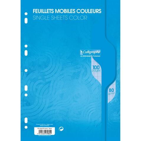 Feuillets mobiles sous film 7000 A4 100 pages perforées grands carreaux 80 g