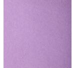 Etival Color paquet 25F A3 160g - Parme