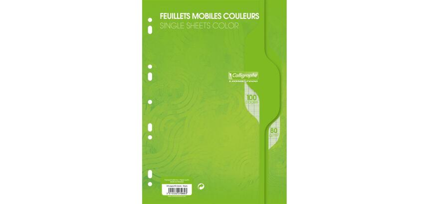 Feuillets mobiles sous film 7000 A4 100 pages perforées grands carreaux 80 g