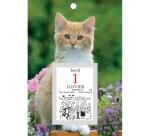 Bloc éphéméride comique Classique sur plaque illustrée 18 x 26 cm 2026 - Visuels assortis