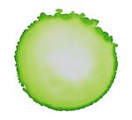Cernit encre à l'alcool 20 ml Vert anis - Vert anis