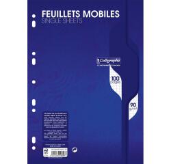 Feuillets mobiles sous film 7000 A4 100 pages perforées petits carreaux 90 g