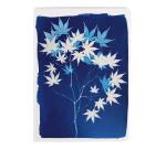 Cyanotype, Carnet cousu fil A5 14,8x21 cm, 64 pages, ligné, ass.