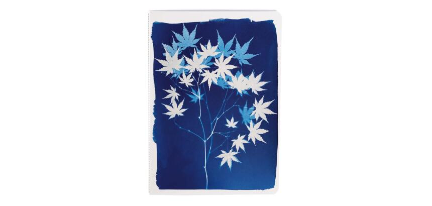 Cyanotype, Carnet cousu fil A5 14,8x21 cm, 64 pages, ligné, ass.