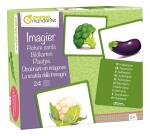 Imagier, Légumes - Multicolore