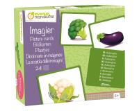 Imagier, Légumes - Multicolore