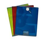 Cahier piqué 8000 CARTE 24x32 cm 48 pages grands carreaux 90 g - Assortis