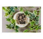 Le cerisier blanc, Bloc reliure intégrale en-tête 9x11 cm, 160 feuilles, uni, ass.