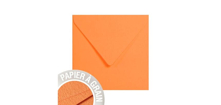 Paquet de 5 enveloppes Grain de Pollen 140x140mm 120g/m²