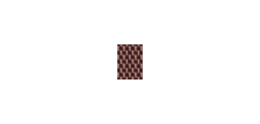 * Pochette 3 Feuilles Identiques Ref 610 - Marron