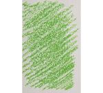 Pastel Tendre - Vert Pomme - teinte 2