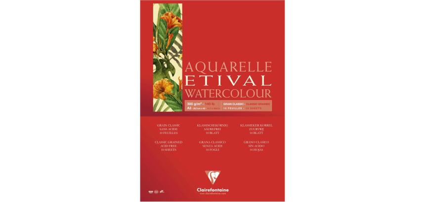 Etival bloc collé 1 côté 10F A3 300g grain classic