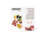 Kit starter, Miniatures Fruits