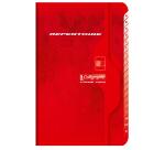 Répertoire piqué 7000 11x17 cm 96 pages petits carreaux 70 g - Assortis