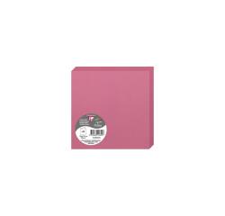 Paquet de 25 cartes pliées Pollen 135x135mm 210g/m²