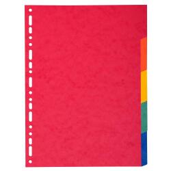 Div Forever Divider A4+ 220g 5P Bright - Assorted colours