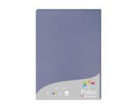 Etui de 50 feuilles Pollen 210x297mm 160g/m2