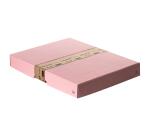 Caja de almacenamiento PureBox Pastel de Exacompta A4 24 x 32 x 4 cm de alto