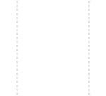 Pk2000 List Paper 1 ply 80g 240x12'' - White