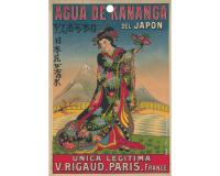 Plaque imprimée Affiches anciennes 18 x 26 cm pour éphéméride - Visuels assortis