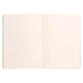 Rhodiarama carnet souple A5 160 pages ligné papier ivoire 90g fermeture élastique - Sauge