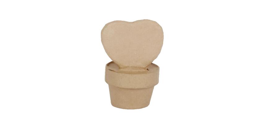 Mini plante coeur - Kraft
