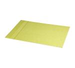 Rhodiarama sous-main rigide simili cuir italien 60x40 cm - Anis