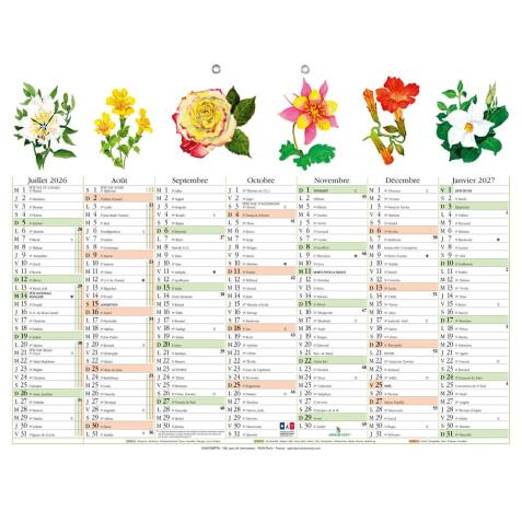 Calendrier Fleurs avec illustrations 43 x 33,5 cm Semestriel 2026