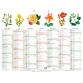 Calendrier Fleurs avec illustrations 43 x 33,5 cm Semestriel 2026