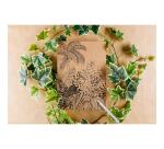 Le cerisier blanc, Cahier cousu fil A4 21x29,7 cm, 96 pages, ligné et marge, ass.