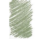 Pastel Tendre - Vert De Chrome - teinte 3