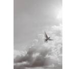 SET DE CORRESPONDANCE THÉMATIQUE, 8 enveloppes Pollen C6 (114x162mm) 120g + 8 cartes pliées 110x155m 185g, Condoléances