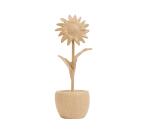 Tournesol en pot - Kraft