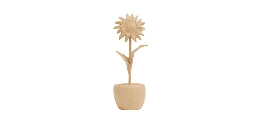 Tournesol en pot - Kraft