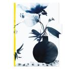 Inkebana, Set de 3 pochettes à onglets 22x31 cm, ass. - Multicolore